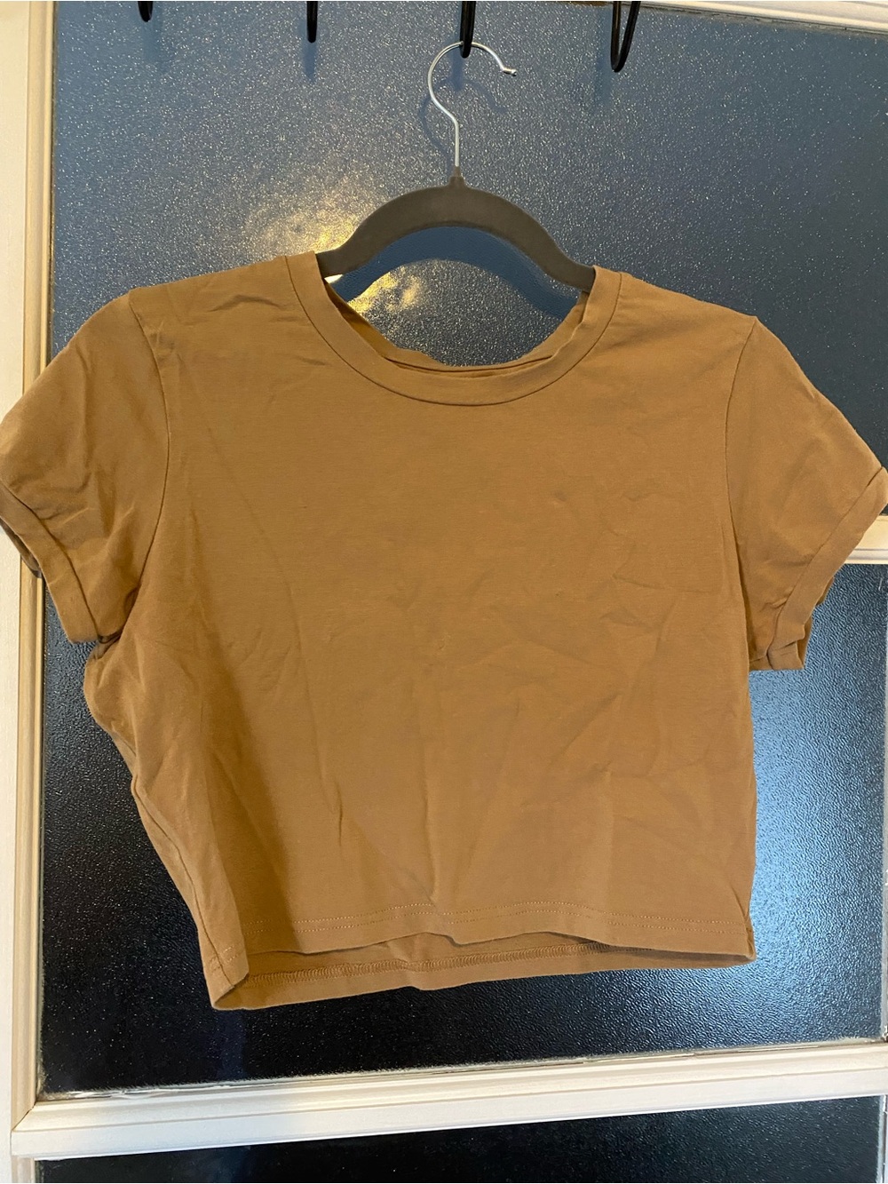 TNA Cropped Crewneck Tee in Brown